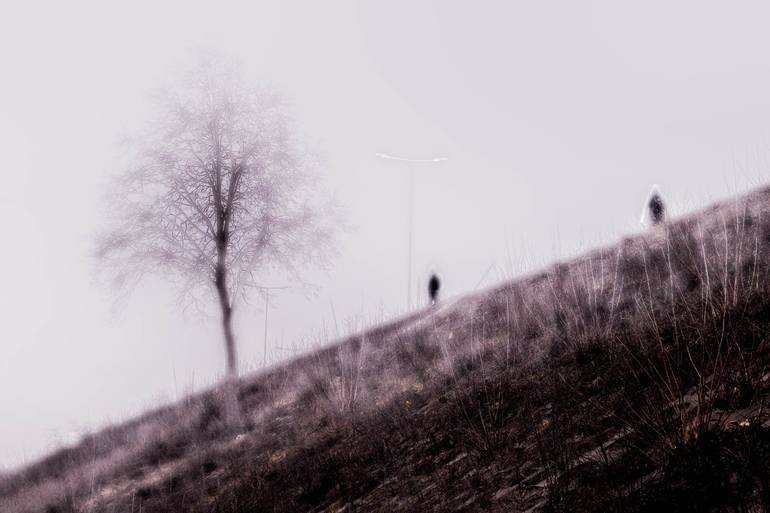 Original  Photography by michael banifatov