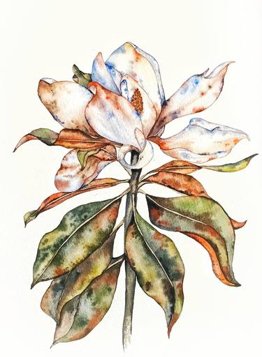 Original Floral Paintings by Taya Lizina