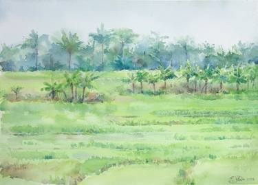 Original Landscape Paintings by Jenny Klein