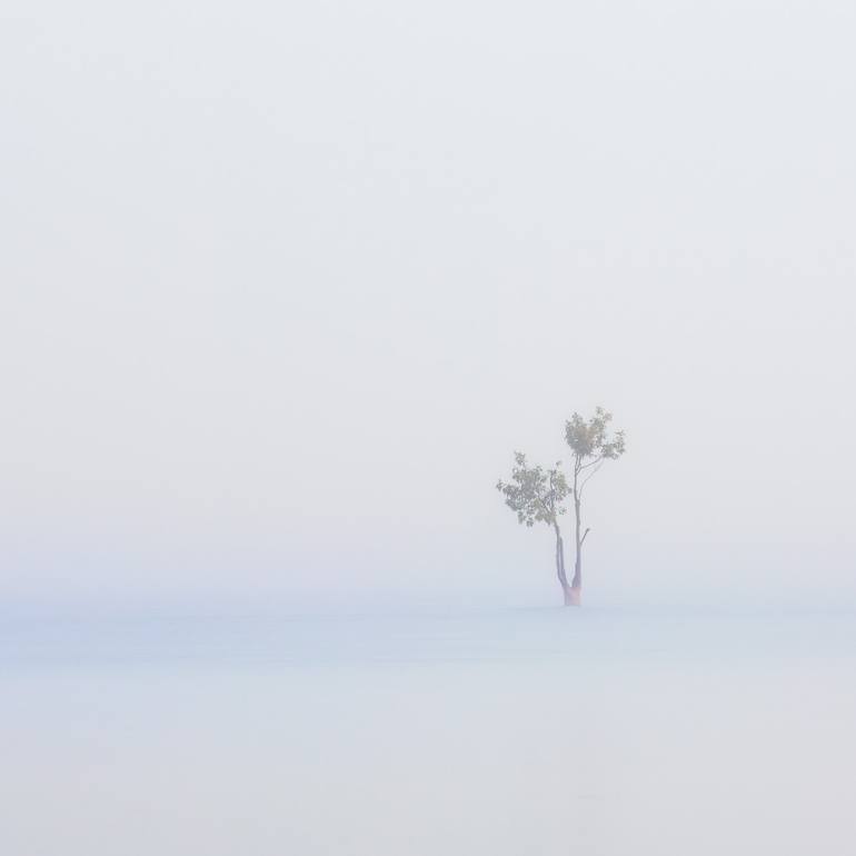 Original  Photography by emmanuel panagiotakis