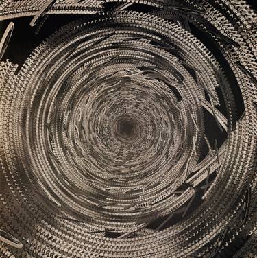 Original Black & White Abstract Photography by Seth Harris