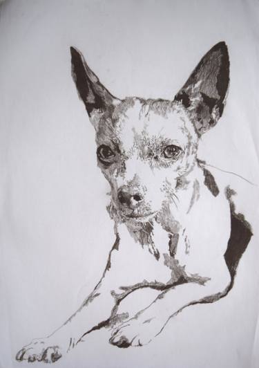 Original Dogs Drawings by Helga Elsner Torres