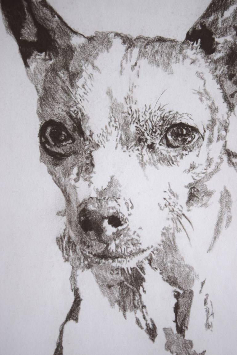 Original Figurative Dogs Drawing by Helga Elsner Torres