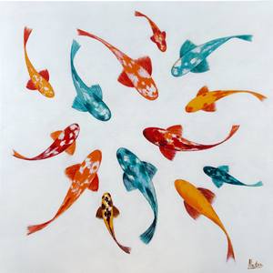 Collection Koi