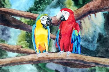 Parrots thumb
