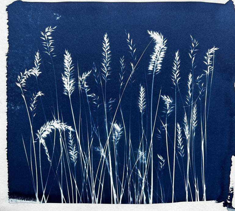 Cyanotype No. 29 Photography by Josef Nadj | Saatchi Art