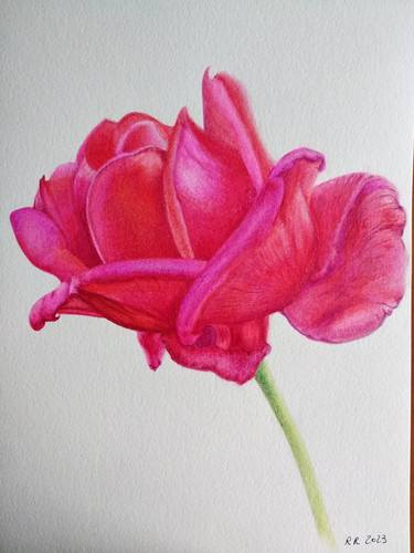 Original Figurative Botanic Paintings by Raffaella Righetti