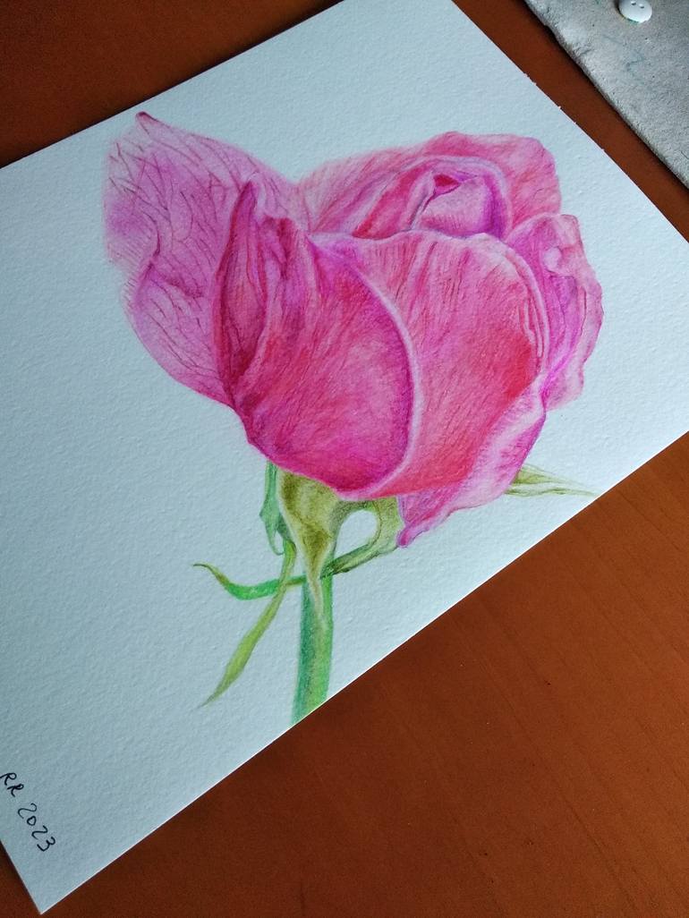 Original Botanic Painting by Raffaella Righetti