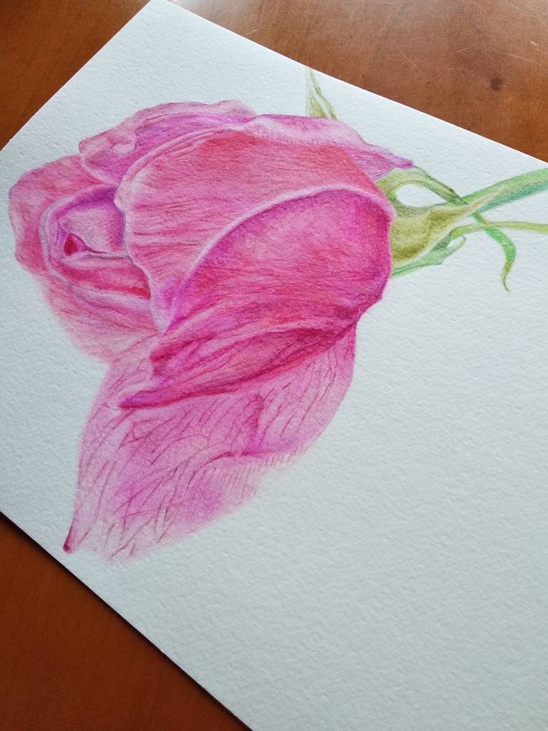 Original Botanic Painting by Raffaella Righetti