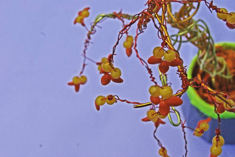 Original Conceptual Botanic Sculpture by Michelle Cox