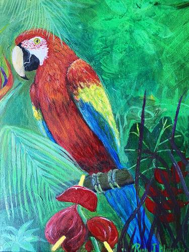 Macaw in the Canopy thumb