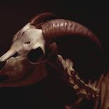 All That Remains - 3 by Brenton Bleechmore