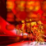 f1 by Can Akkiris