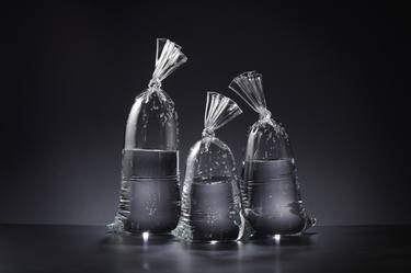 Set of 3 Water Bag Sculptures thumb