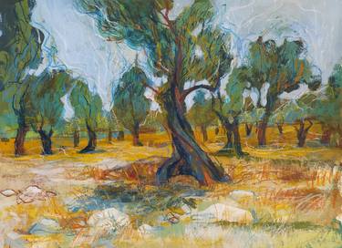 Midsummer in an olive grove thumb