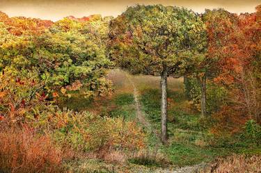 Print of Landscape Photography by TREMBLAY photographer