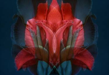 Original Abstract Floral Photography by Marina Papaspirou