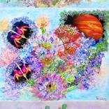 Collection Nature / Earth / Sky / Universum