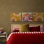 Collection Colorful sets with optimistic vibe