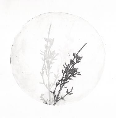 Original Conceptual Nature Printmaking by Rosie Pinsent