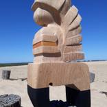 Collection Les Etres extraordinaires