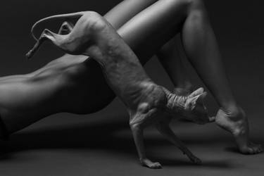 Original Conceptual Animal Photography by Ivan Cheremisin