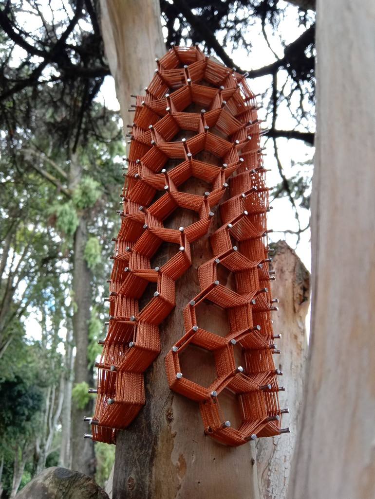 Original Conceptual Nature Sculpture by Diego Amaris