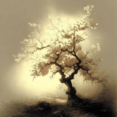 Print of Conceptual Tree Digital by Gravure Allure