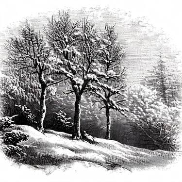 Print of Conceptual Seasons Digital by Gravure Allure