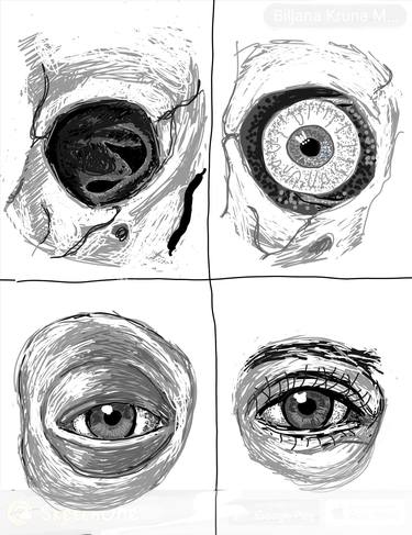 Anatomy of the Eye thumb