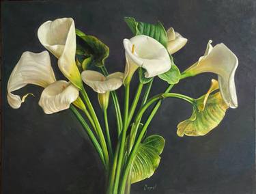 Original Figurative Floral Paintings by Antonio Capel