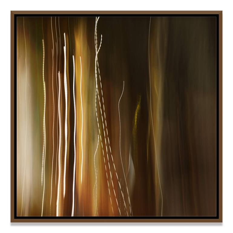 Original Conceptual Abstract Photography by Hacob Khodaverdian