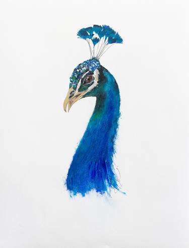 Original Animal Paintings by Filippo ioco