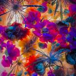 The Light Inside by Corinne Cobabe