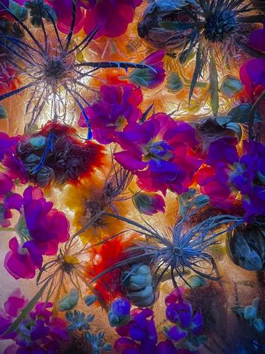 Original Abstract Floral Photography by Corinne Cobabe