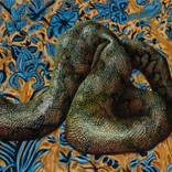 Charmer by Sarah Jacobs