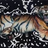 Year of the Tiger by Sarah Jacobs