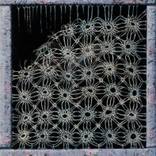 Itsy Bitsy Spider by Sarah Jacobs