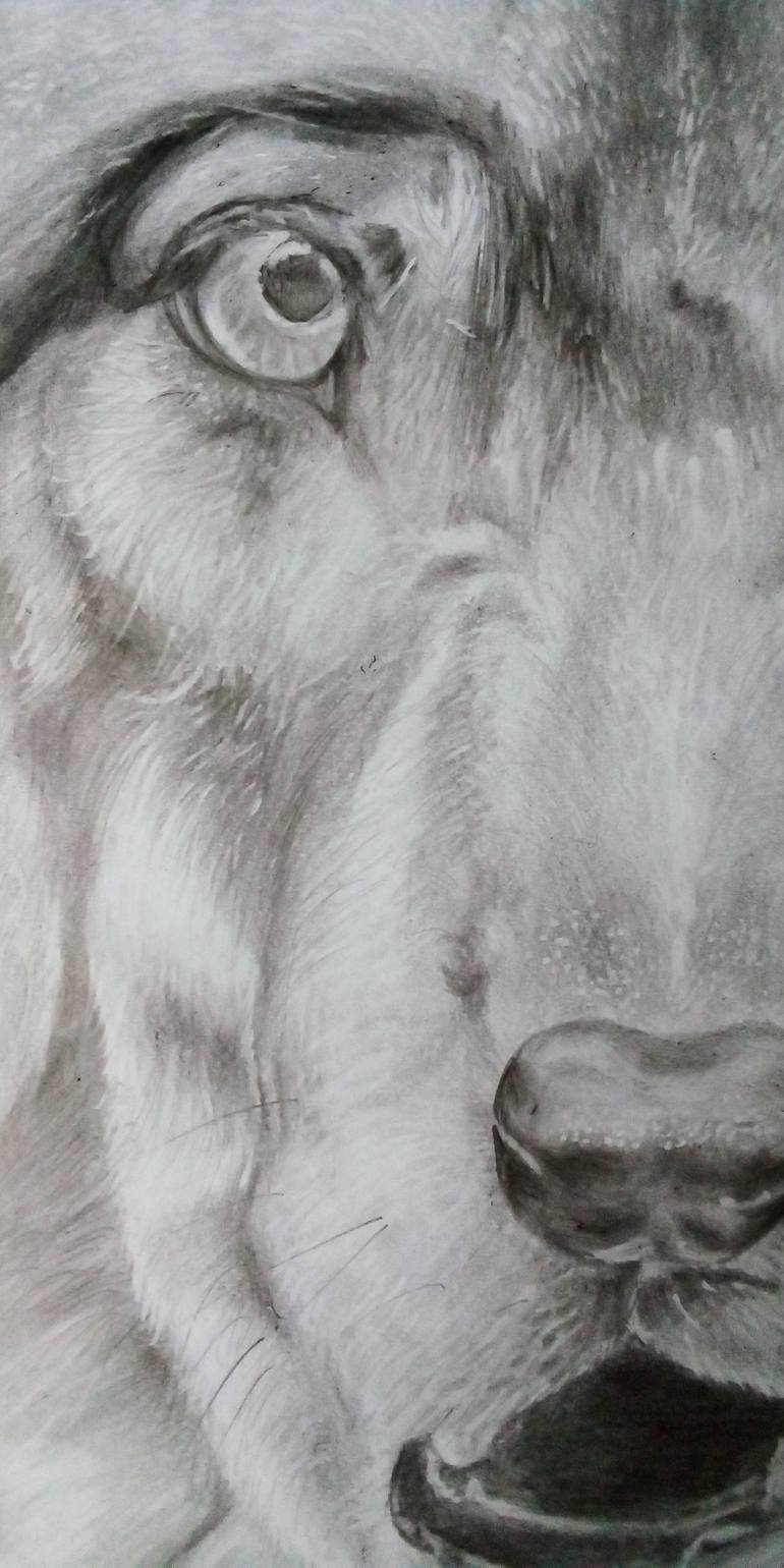 Original Realism Animal Drawing by Matheesha Dasanayaka