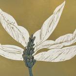 In bloom II by Marta Wakula-Mac