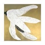 White beauty I by Marta Wakula-Mac