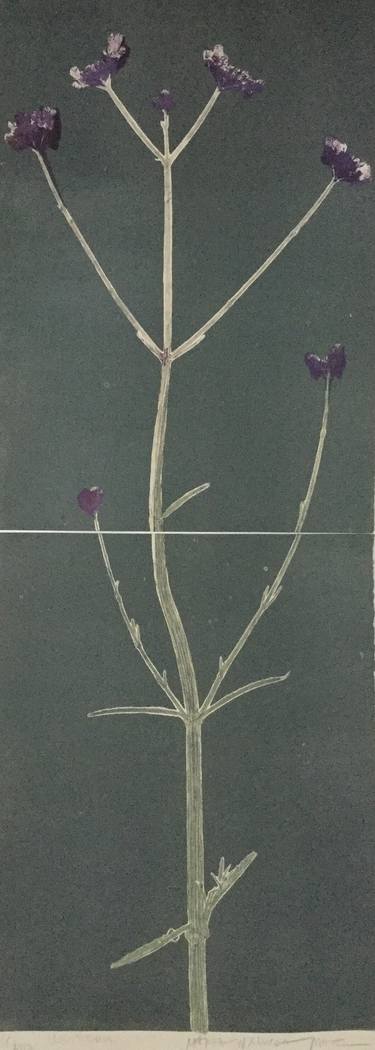 Original Abstract Botanic Printmaking by Marta Wakula-Mac