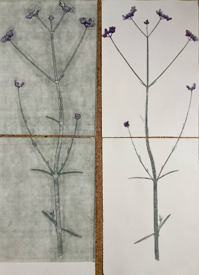 Original Abstract Botanic Printmaking by Marta Wakula-Mac