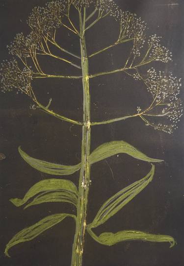 Print of Figurative Botanic Printmaking by Marta Wakula-Mac