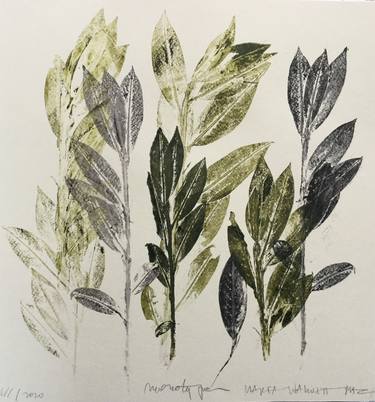 Print of Figurative Botanic Printmaking by Marta Wakula-Mac