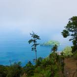 Collection Tropical Landscapes of Trinidad