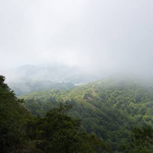 Collection Tropical Landscapes of Trinidad