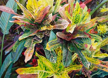 Original Realism Botanic Paintings by Naoki Watanabe
