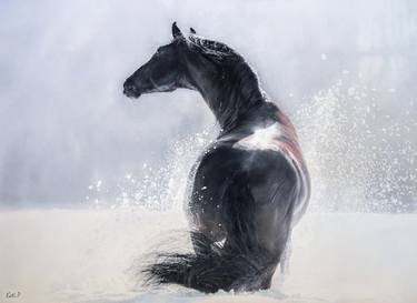 Original Realism Horse Paintings by Katerina Ponomareva