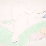 Collection New Nudes